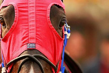 Federal Horse Racing Integrity Act Still in Limbo