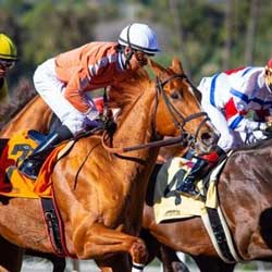 Federal Horse Racing Integrity Act Still in Limbo 