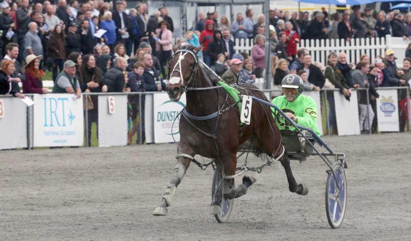 Akuta is the Favorite to Win the New Zealand Trotting Cup