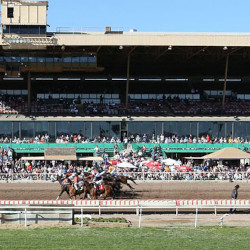 The Future of Horse Racing in Arizona Remains Unclear